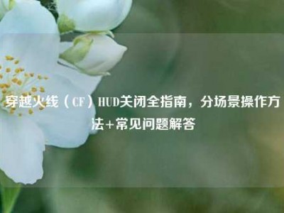 穿越火线（CF）HUD关闭全指南，分场景操作方法+常见问题解答