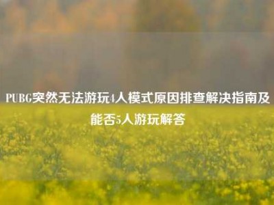 PUBG突然无法游玩4人模式原因排查解决指南及能否5人游玩解答