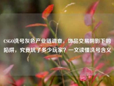 CSGO洗号灰色产业链调查，饰品交易阴影下的陷阱，究竟坑了多少玩家？一文读懂洗号含义