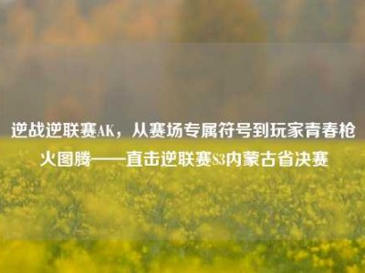 逆战逆联赛AK，从赛场专属符号到玩家青春枪火图腾——直击逆联赛S3内蒙古省决赛