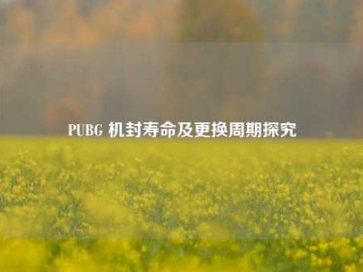 PUBG 机封寿命及更换周期探究