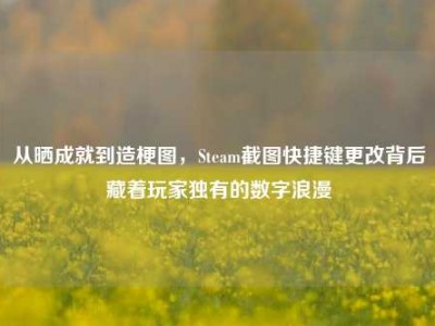 从晒成就到造梗图，Steam截图快捷键更改背后藏着玩家独有的数字浪漫