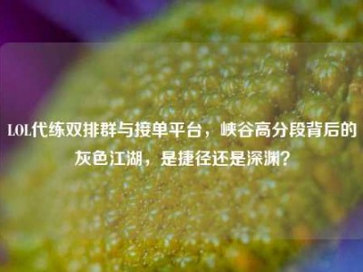 LOL代练双排群与接单平台，峡谷高分段背后的灰色江湖，是捷径还是深渊？