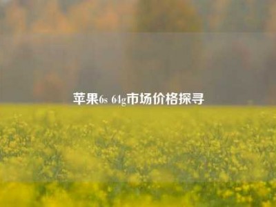 苹果6s 64g市场价格探寻