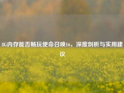 8G内存能否畅玩使命召唤16，深度剖析与实用建议