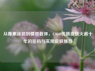 从像素涂装到情感载体，CSGO优质皮肤火遍十年的密码与实用皮肤推荐
