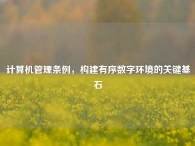 计算机管理条例，构建有序数字环境的关键基石