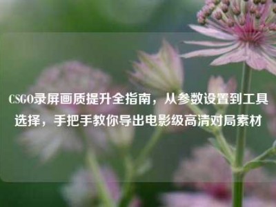 CSGO录屏画质提升全指南，从参数设置到工具选择，手把手教你导出电影级高清对局素材