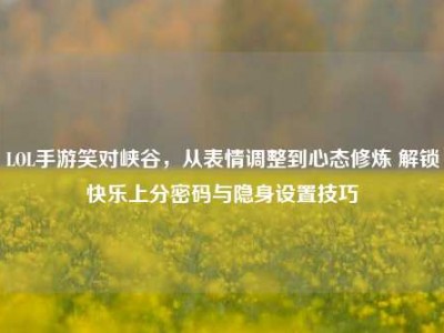 LOL手游笑对峡谷，从表情调整到心态修炼 解锁快乐上分密码与隐身设置技巧