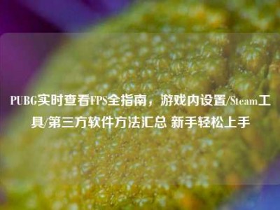 PUBG实时查看FPS全指南，游戏内设置/Steam工具/第三方软件方法汇总 新手轻松上手