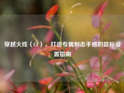 穿越火线（CF），打造专属射击手感的鼠标设置指南