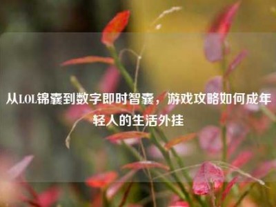 从LOL锦囊到数字即时智囊，游戏攻略如何成年轻人的生活外挂