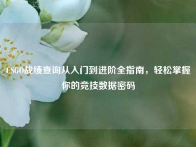 CSGO战绩查询从入门到进阶全指南，轻松掌握你的竞技数据密码