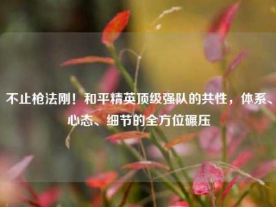 不止枪法刚！和平精英顶级强队的共性，体系、心态、细节的全方位碾压