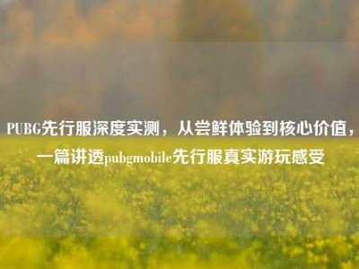 PUBG先行服深度实测，从尝鲜体验到核心价值，一篇讲透pubgmobile先行服真实游玩感受