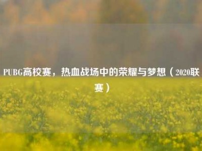PUBG高校赛，热血战场中的荣耀与梦想（2020联赛）