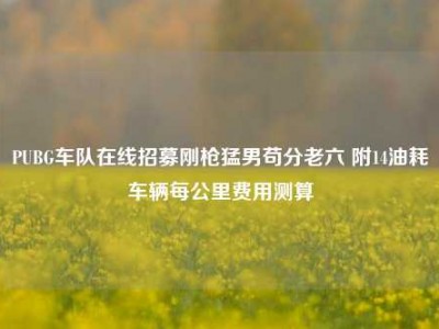 PUBG车队在线招募刚枪猛男苟分老六 附14油耗车辆每公里费用测算