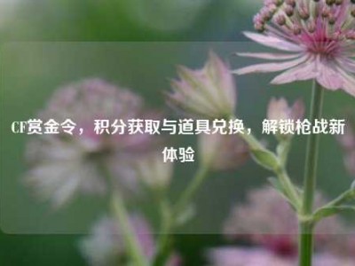 CF赏金令，积分获取与道具兑换，解锁枪战新体验