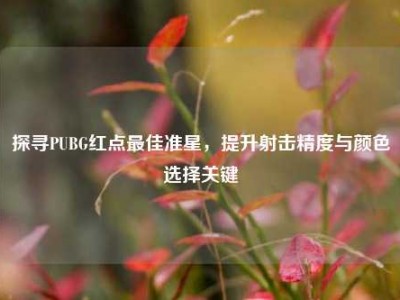 探寻PUBG红点最佳准星，提升射击精度与颜色选择关键