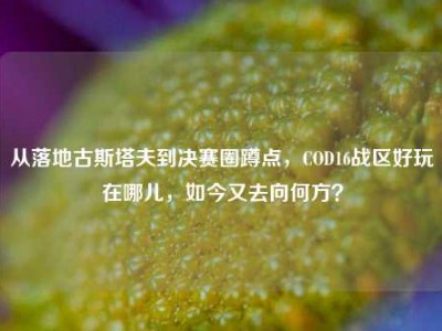 从落地古斯塔夫到决赛圈蹲点，COD16战区好玩在哪儿，如今又去向何方？