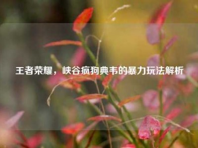 王者荣耀，峡谷疯狗典韦的暴力玩法解析