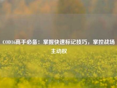 COD16高手必备：掌握快速标记技巧，掌控战场主动权