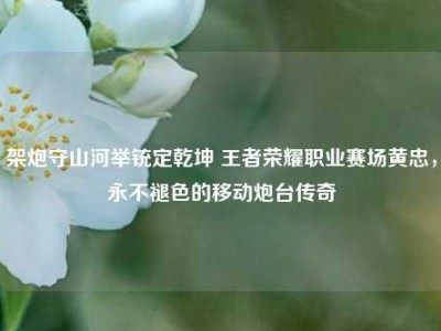 架炮守山河举铳定乾坤 王者荣耀职业赛场黄忠，永不褪色的移动炮台传奇