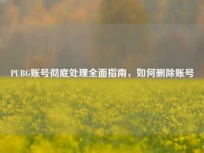 PUBG账号彻底处理全面指南，如何删除账号