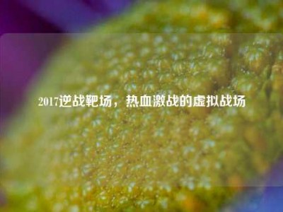2017逆战靶场，热血激战的虚拟战场