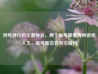 双号并行的王者峡谷，两个账号藏着两种游戏人生，账号能否合并引疑问
