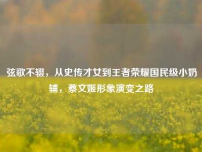 弦歌不辍，从史传才女到王者荣耀国民级小奶辅，蔡文姬形象演变之路