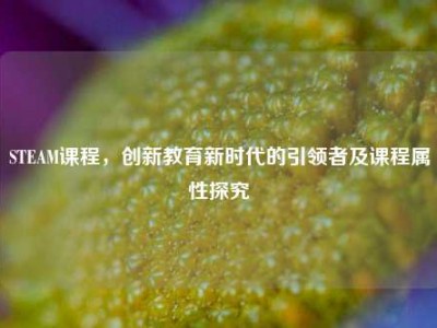 STEAM课程，创新教育新时代的引领者及课程属性探究
