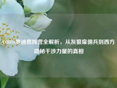 COD16罗迪恩阵营全解析，从灰狼雇佣兵到西方隐秘干涉力量的真相