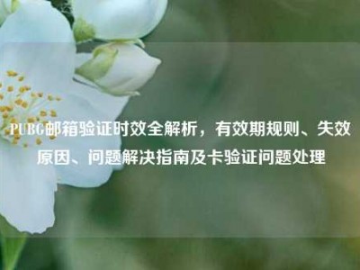 PUBG邮箱验证时效全解析，有效期规则、失效原因、问题解决指南及卡验证问题处理