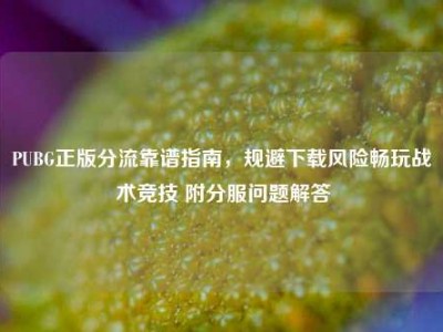 PUBG正版分流靠谱指南，规避下载风险畅玩战术竞技 附分服问题解答