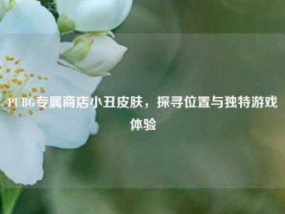 PUBG专属商店小丑皮肤，探寻位置与独特游戏体验