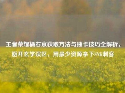 王者荣耀橘右京获取方法与抽卡技巧全解析，避开玄学误区，用最少资源拿下SNK刺客