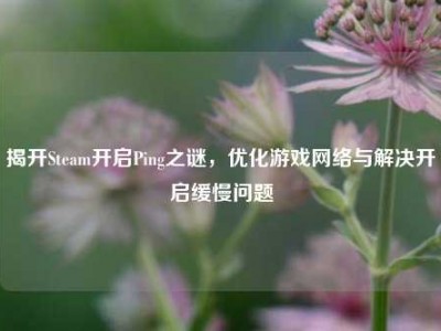 揭开Steam开启Ping之谜，优化游戏网络与解决开启缓慢问题