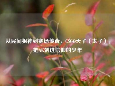 从民间狙神到赛场传奇，CSGO天子（太子），把AK刻进信仰的少年