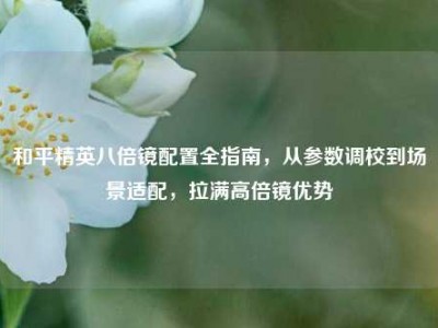 和平精英八倍镜配置全指南，从参数调校到场景适配，拉满高倍镜优势