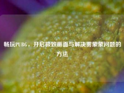 畅玩PUBG，开启极致画面与解决雾蒙蒙问题的方法