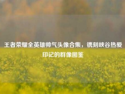 王者荣耀全英雄帅气头像合集，镌刻峡谷热爱印记的群像图鉴