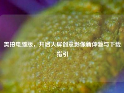 美拍电脑版，开启大屏创意影像新体验与下载指引