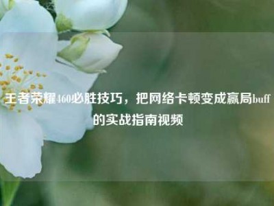 王者荣耀460必胜技巧，把网络卡顿变成赢局buff的实战指南视频