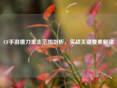 CF手游唐刀重击范围剖析，实战关键要素解读