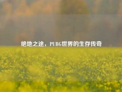 绝地之途，PUBG世界的生存传奇