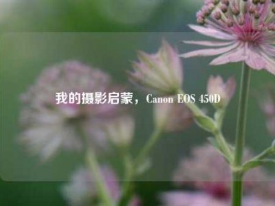 我的摄影启蒙，Canon EOS 450D