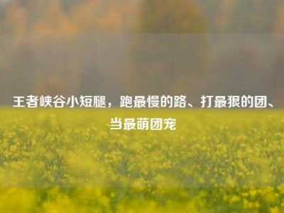 王者峡谷小短腿，跑最慢的路、打最狠的团、当最萌团宠