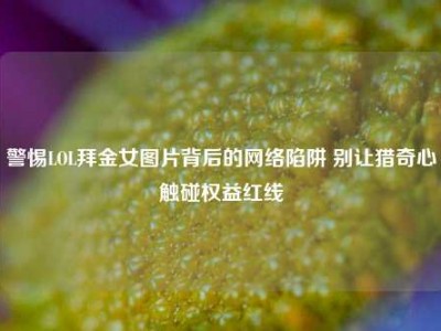 警惕LOL拜金女图片背后的网络陷阱 别让猎奇心触碰权益红线
