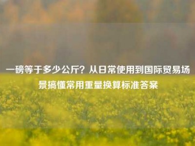 一磅等于多少公斤？从日常使用到国际贸易场景搞懂常用重量换算标准答案